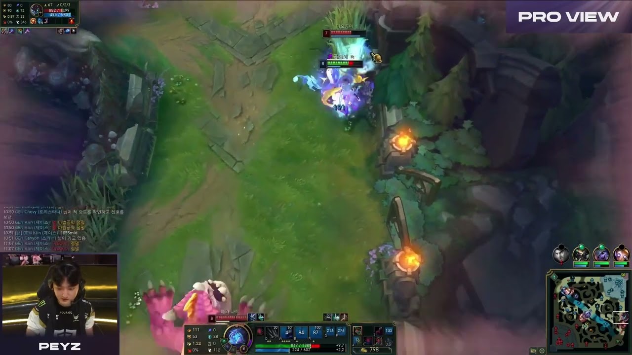 Peyz Ashe Pro View | GENG vs NS | LCK 2024 Summer W9D3