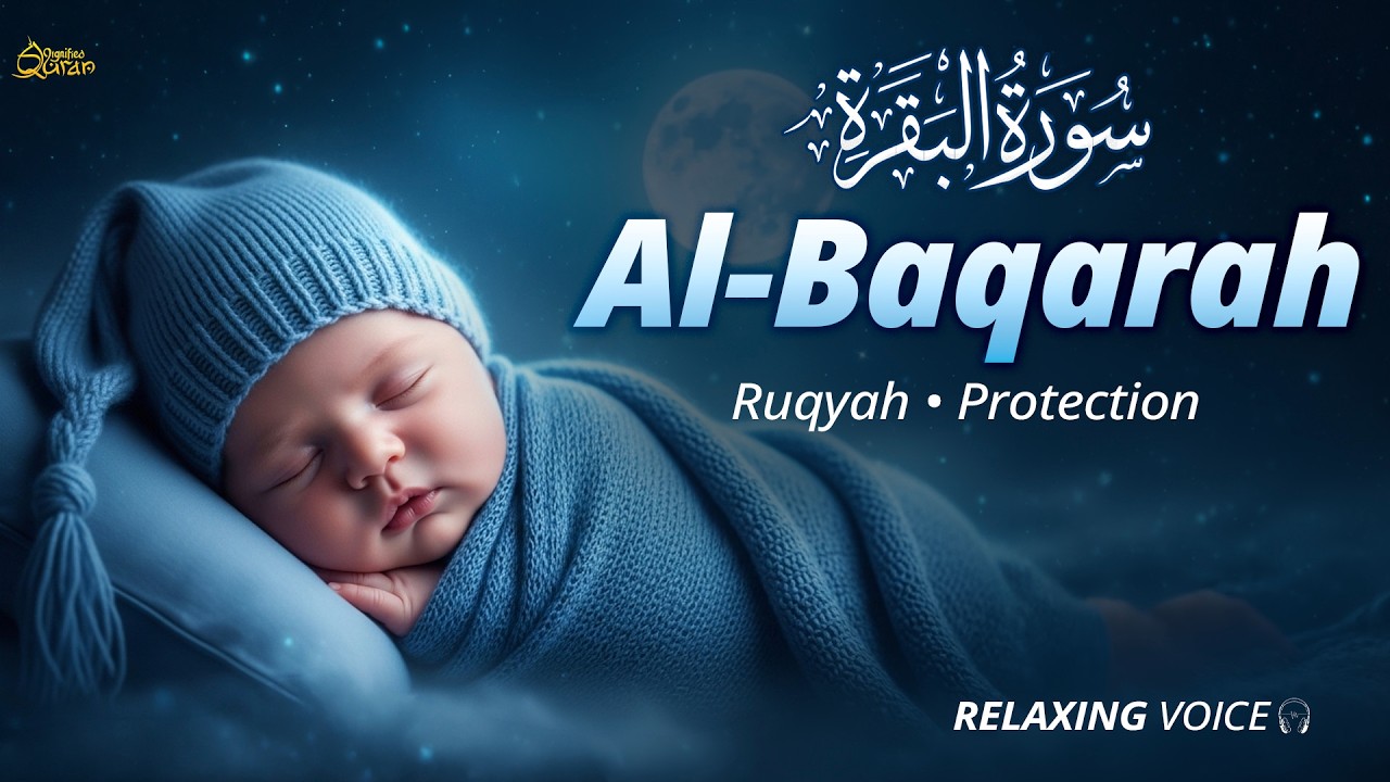 Surah Al-Baqarah | Calm Lofi Quran Recitation for Sleep & Spiritual Healing - By Alaa Aqel #lofi