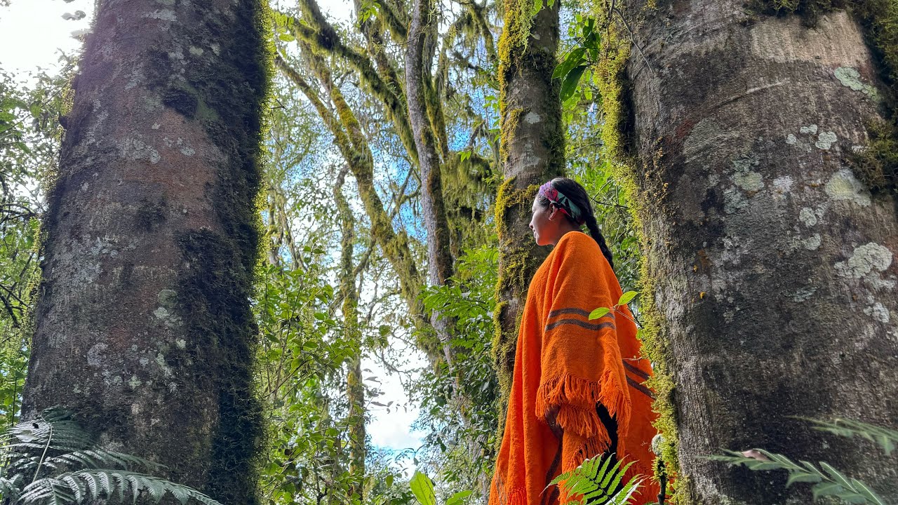 Reserva nacional de flora y fauna Tariquía 