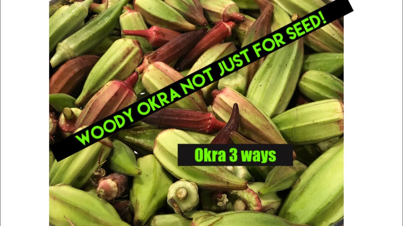 3 Different Ways to Save Okra