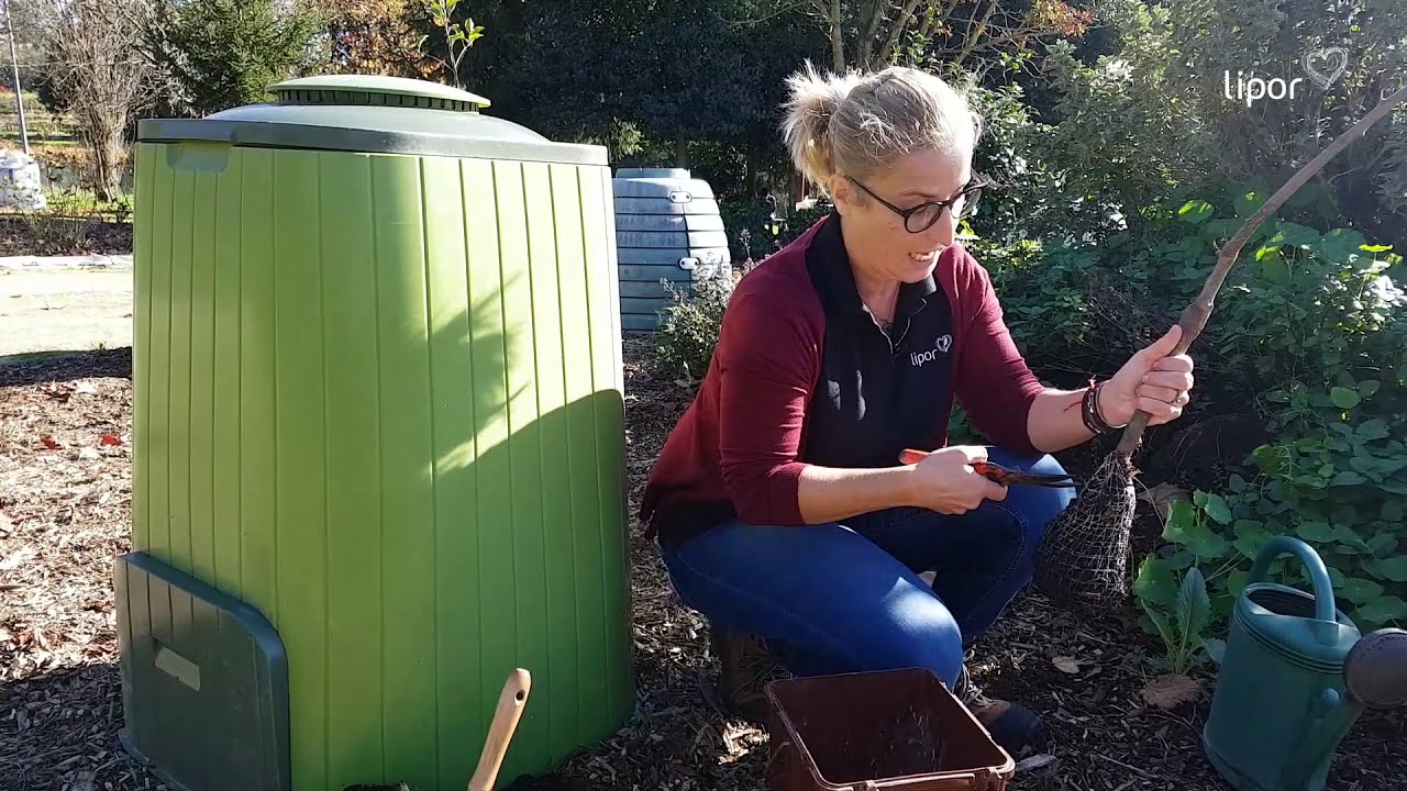 Plantação de Árvores de Fruto