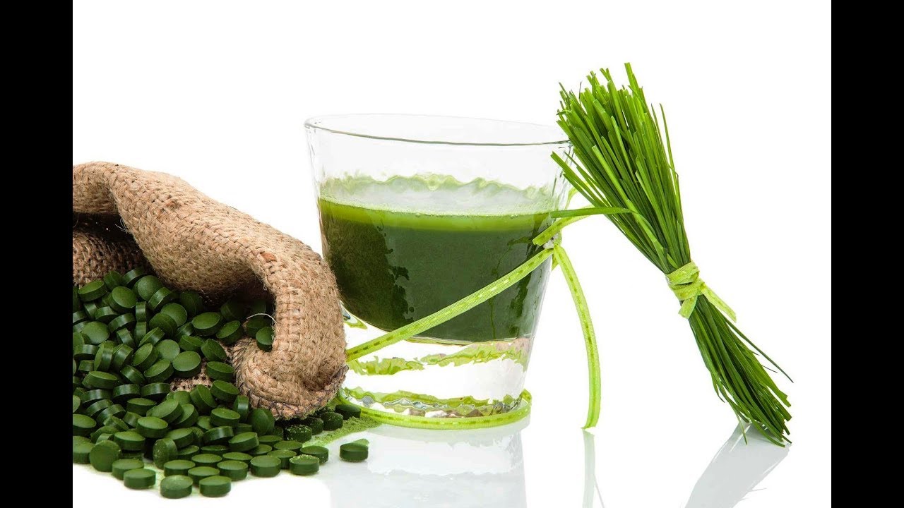 Propiedades Nutrimentales de la Espirulina - HogarTv por Juan Gonzalo Angel