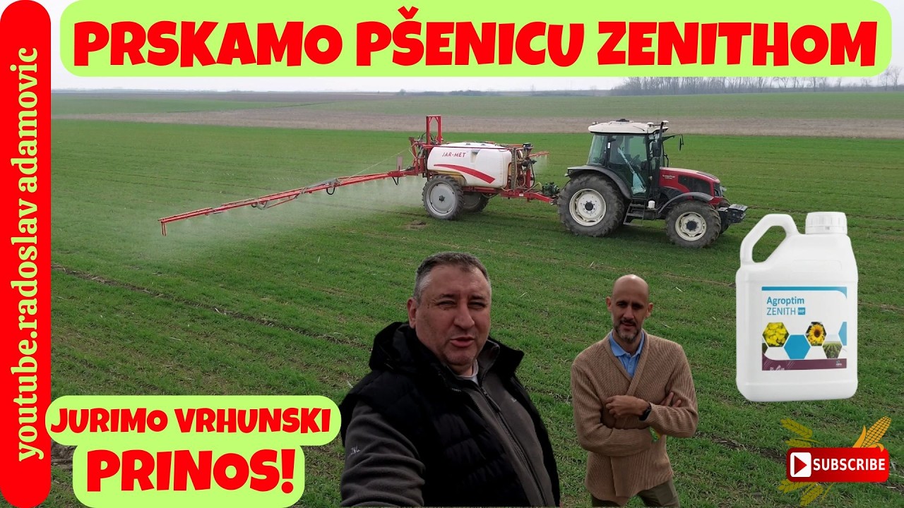 PRSKAMO PŠENICU ZENITHOM: JURIMO VRHUNSKI PRINOS! ; WE SPRAY WHEAT WITH ZENITH: CHASING TOP YIELD!