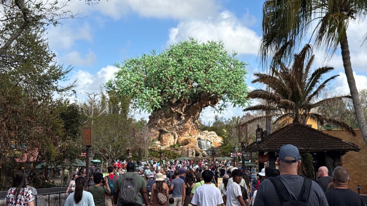 Live Video - A Jungle Trek At Animal Kingdom