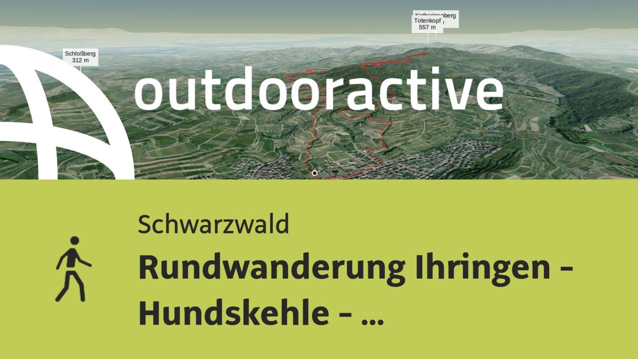 Wanderung im Schwarzwald: Rundwanderung Ihringen - Hundskehle - Lenzenberg