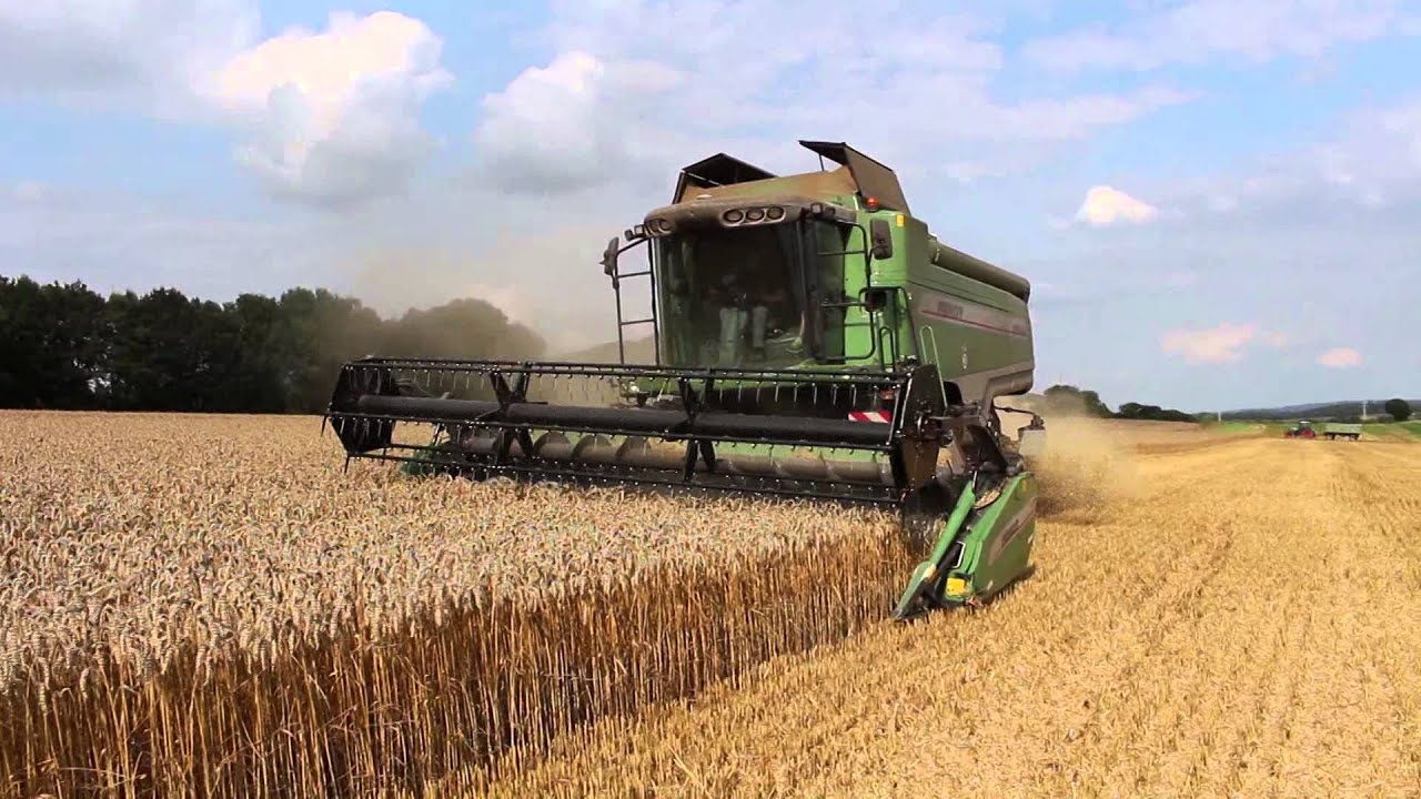 Landwirtschaft am Gut Landershausen (Reportage)