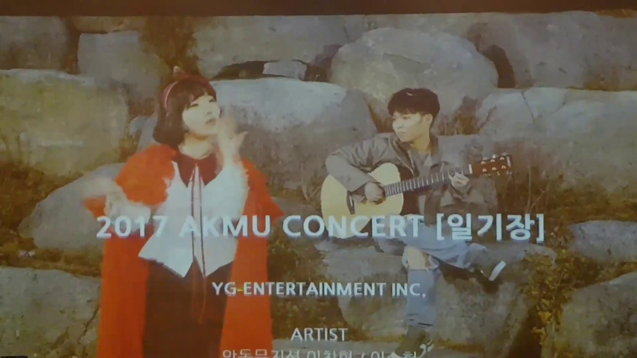 [1080p] 왕감자SONG + 찬깨비 (악동뮤지션 콘서트 '찬혁일기' , 170324)