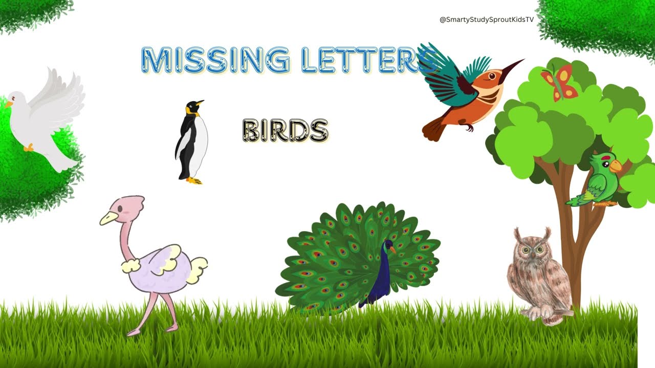 Missing letters video 2 | Fill the letters in english | birds name .