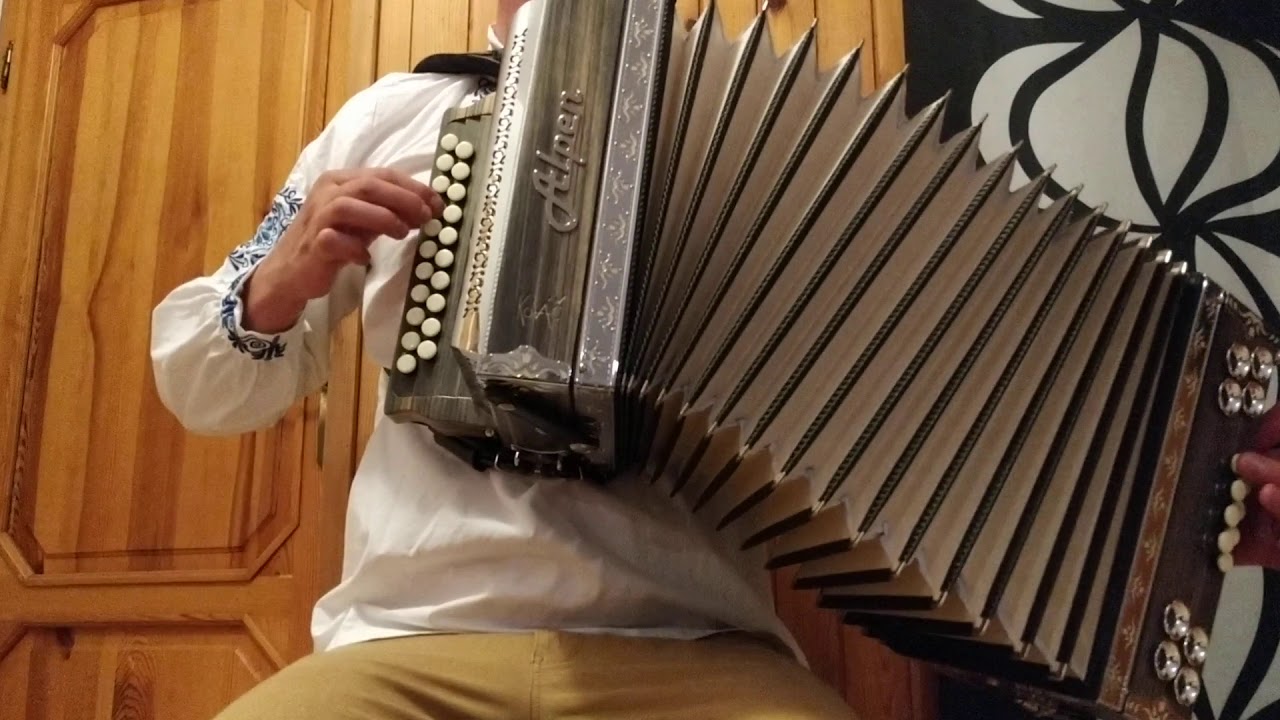 Heligónka-Horila sosna,palala
