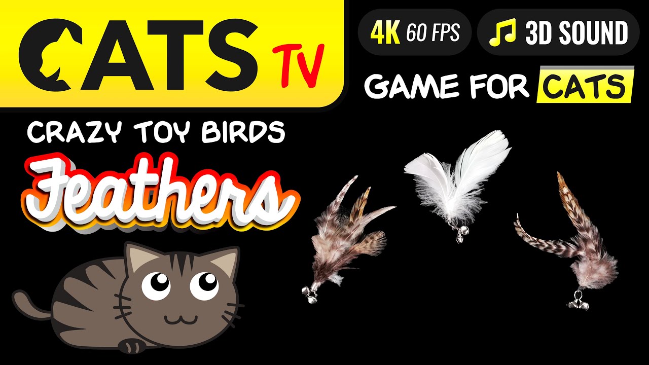 CAT TV - Birds Feathers 🪶 Toys for cats 🙀📺🐭🪳 4K 🔴 60fps [CATS TV]
