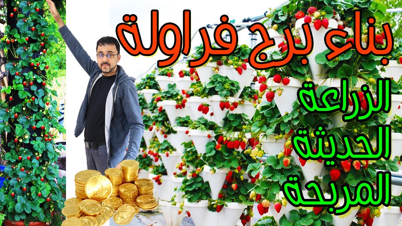 كيف تبدأ مشروعا زراعيا مربحا؟ وكيفية عمل أبراج زراعية؟