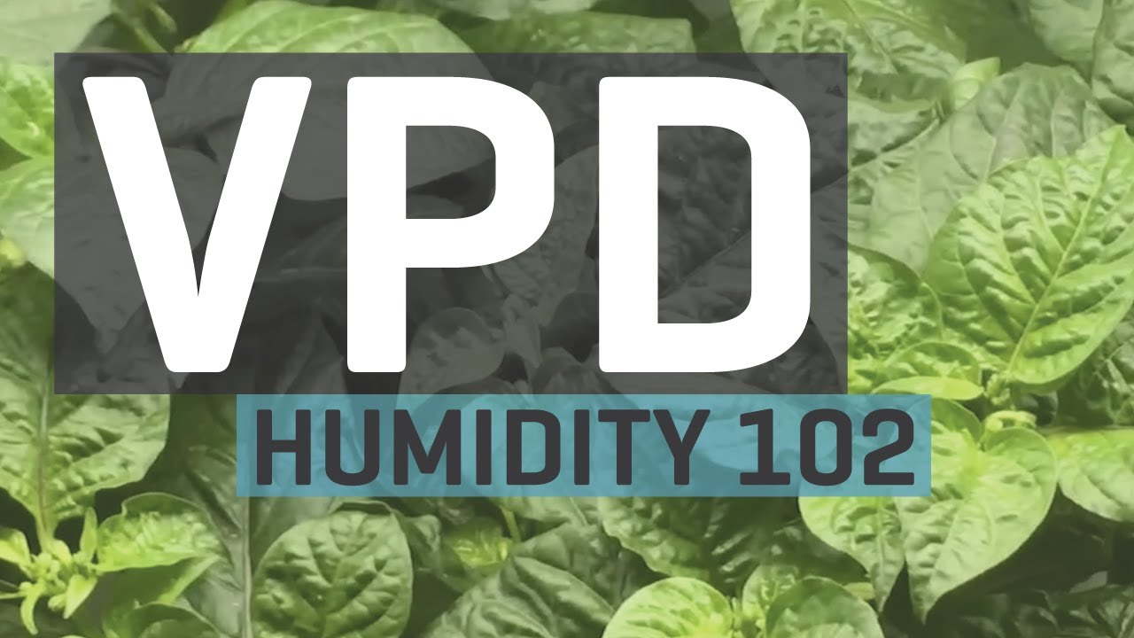 Humidity 102: Vapor Pressure Deficit &mdash; VPD Chart