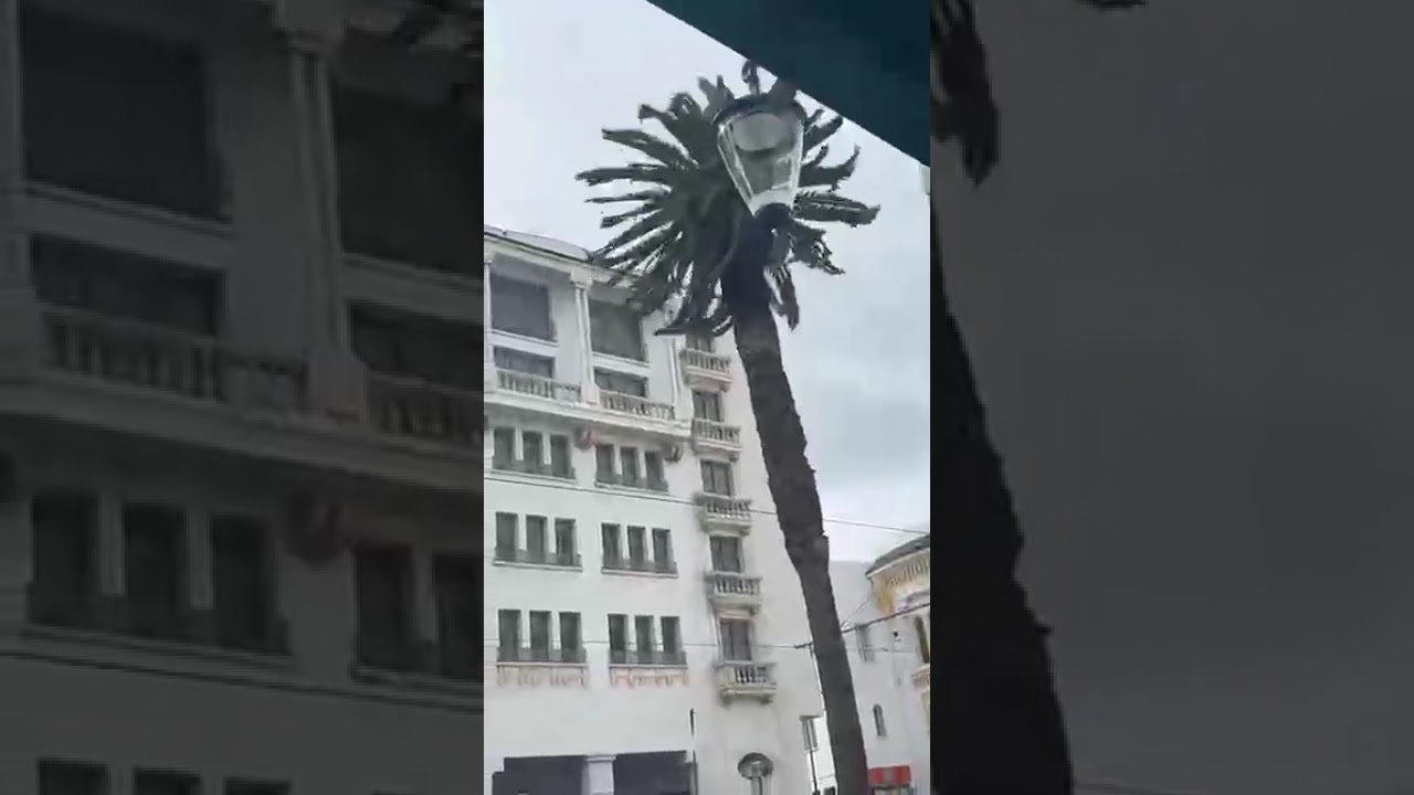 عاجل من كازا ... ردوا بالكم من الشجر والنخل بسبب الرياح القوية يقدرو يطيحو لا قدر الله