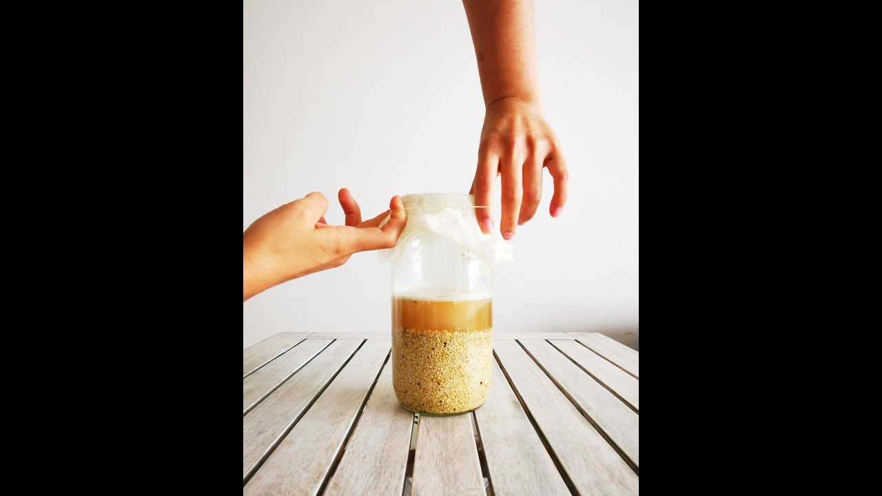 Rejuvelac de Quinoa
