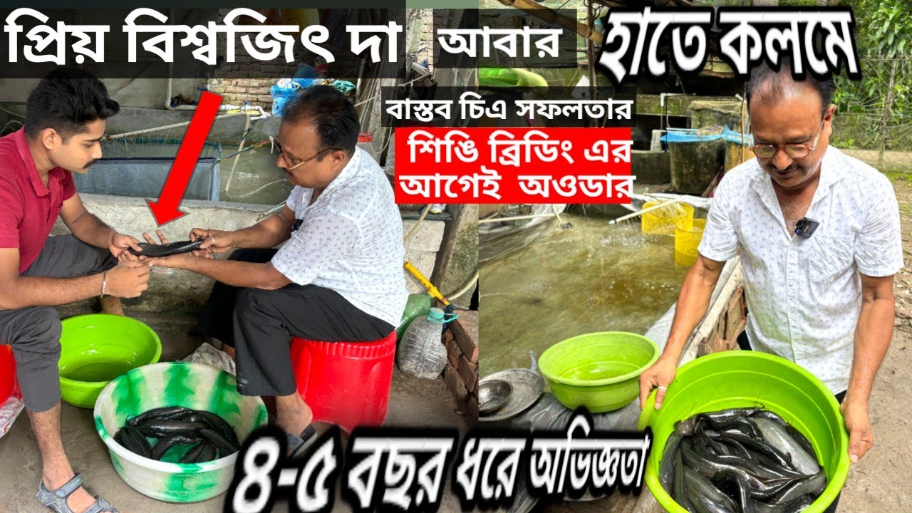 আবারও প্রতিবছরের মত খোলাখুলি বললেন 👍শিঙি মাছ তৈরী করার আগেই  অওডার আসে
