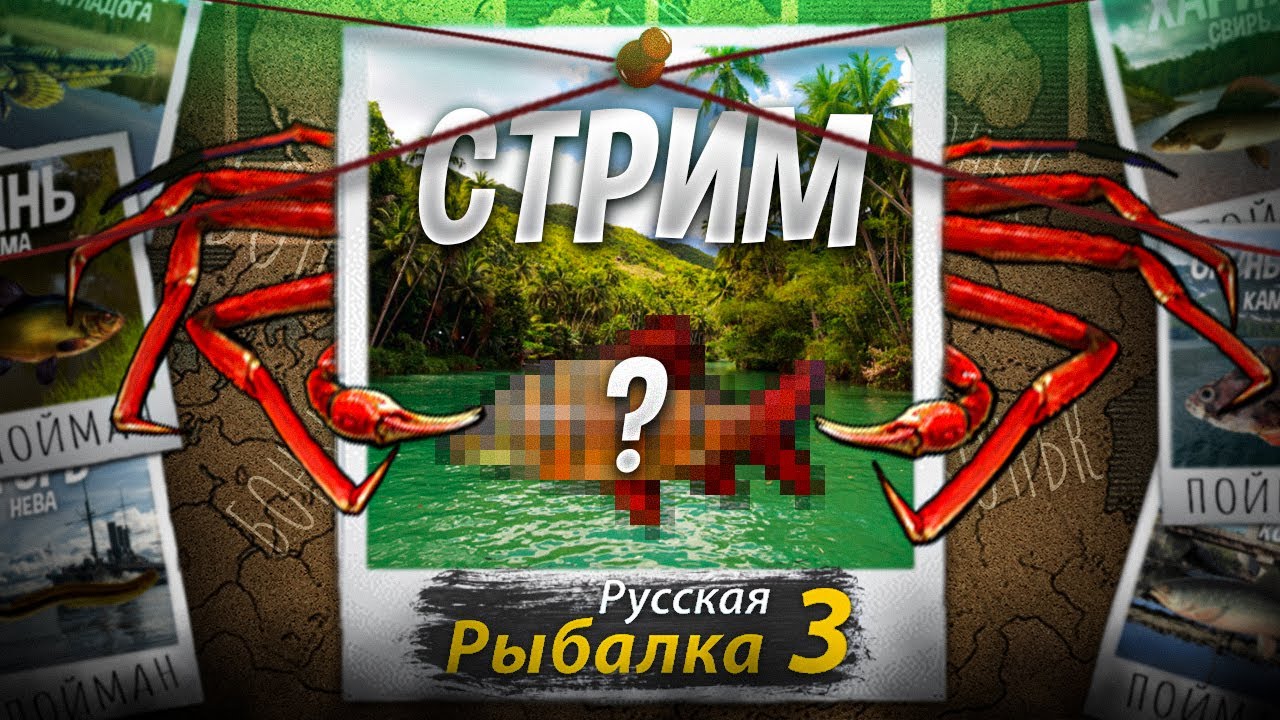 ⭐СТРИМ РР3 | Кроноцкие Киты и Турниры, Добиваю 300 Разряд🔥