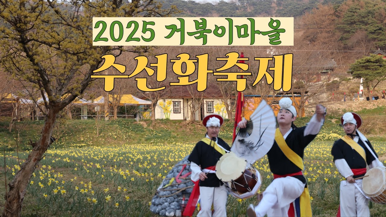 2025년 충남 홍성 거북이마을 수선화축제