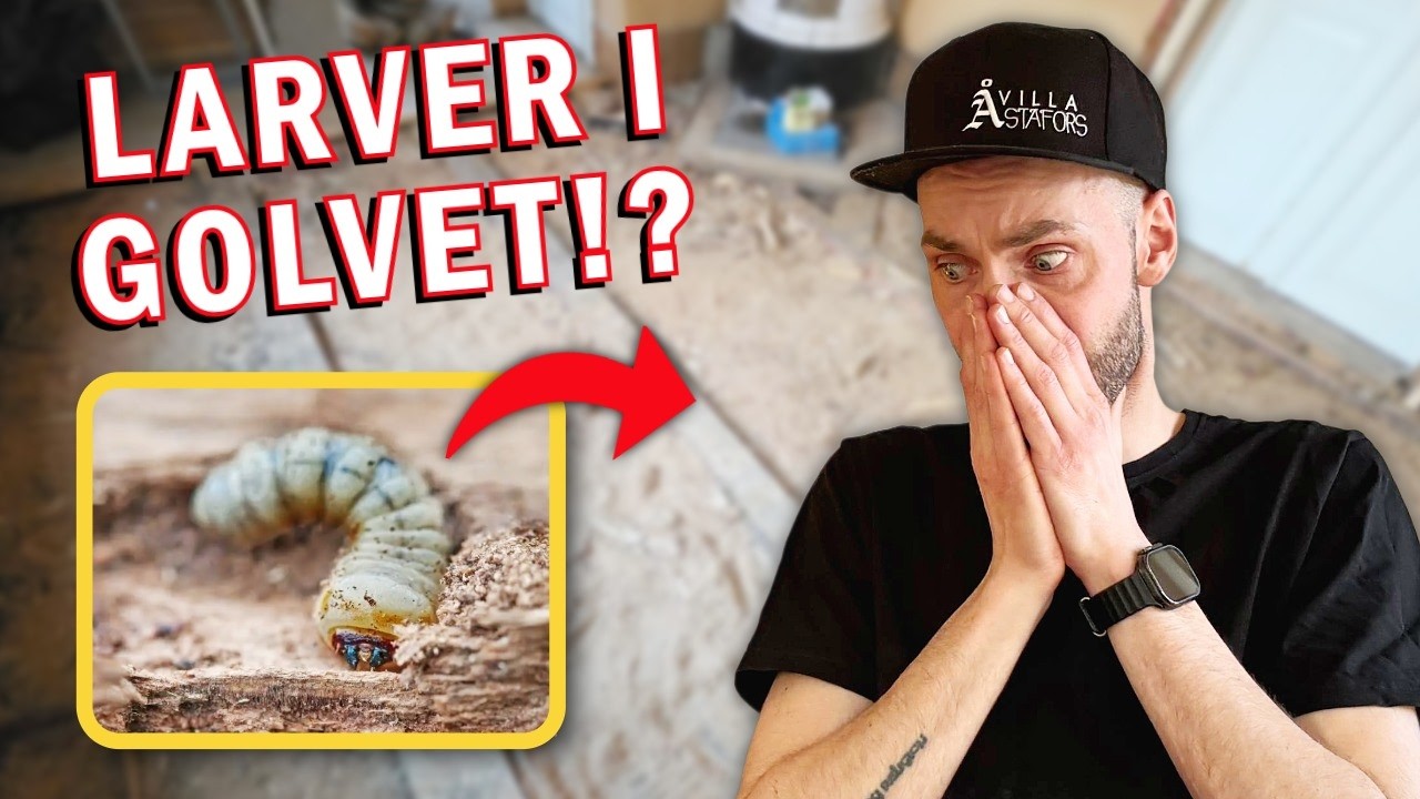 vi har inget golv&hellip; (ep.35) | Fr&aring;n Ruckel Till Hem!