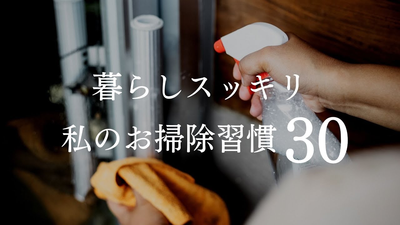 暮らしスッキリ私のお掃除習慣３０、玄関、窓周り、トイレ、デスク周り、これでいつもきれい