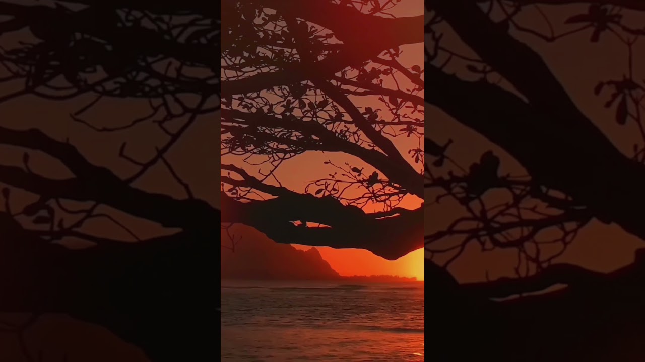 Hanalei Bay