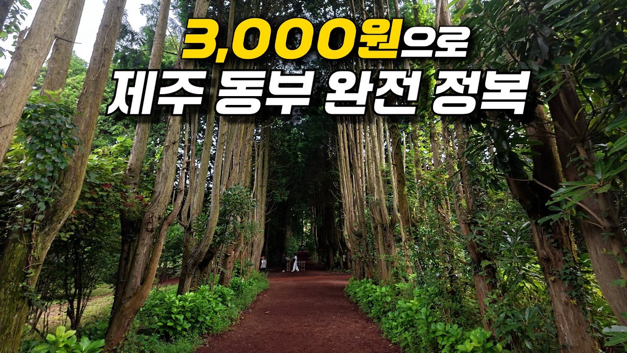 3,000원으로 즐기는 제주 동부 관광지순환버스
