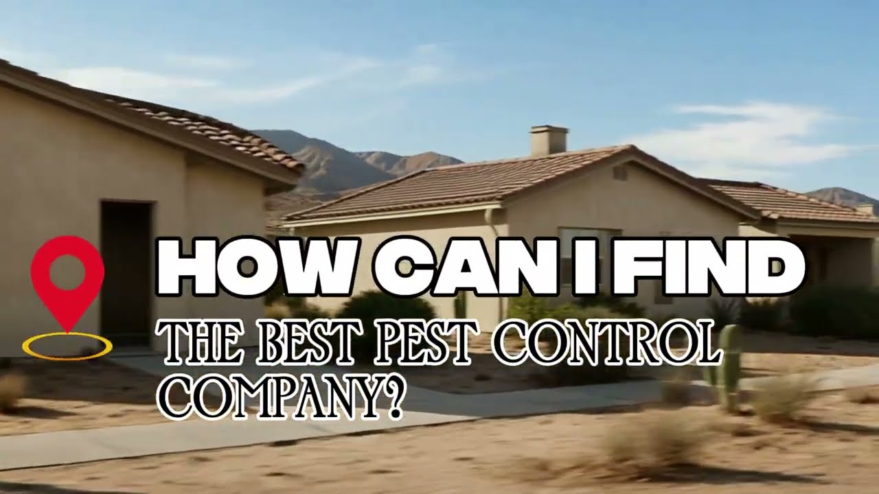 How Can I Find the Best Pest Control Company?