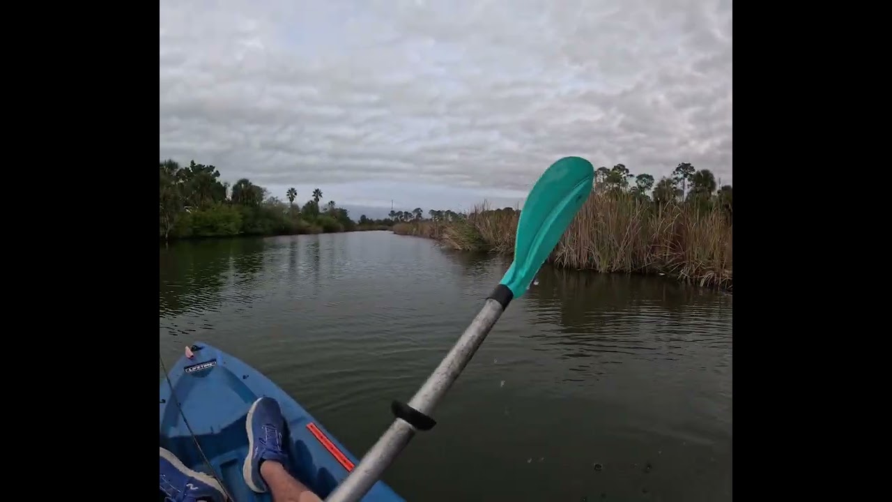 Fishing Weeki Wachee Preserve  #WeekiWacheePreserve  #HernandoBeachvacationhouse #kayakfishing  