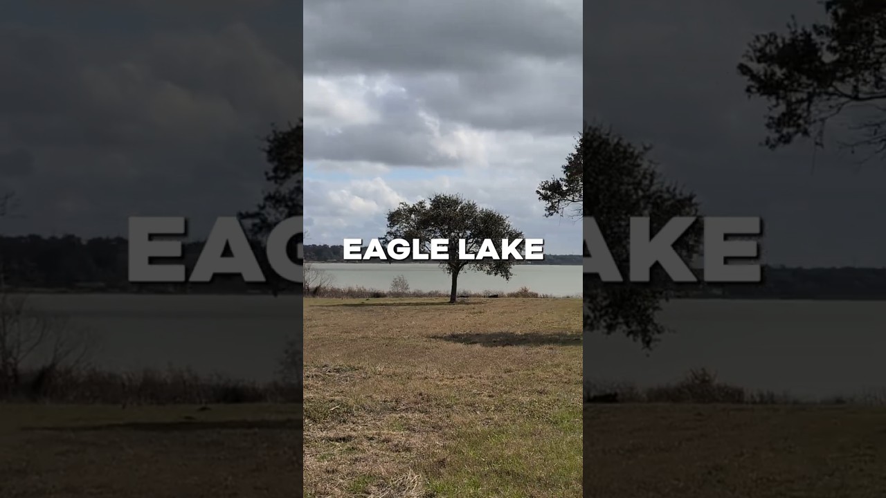 Texas Land For Sale - Eagle Lake, TX - We Owner Finance!
