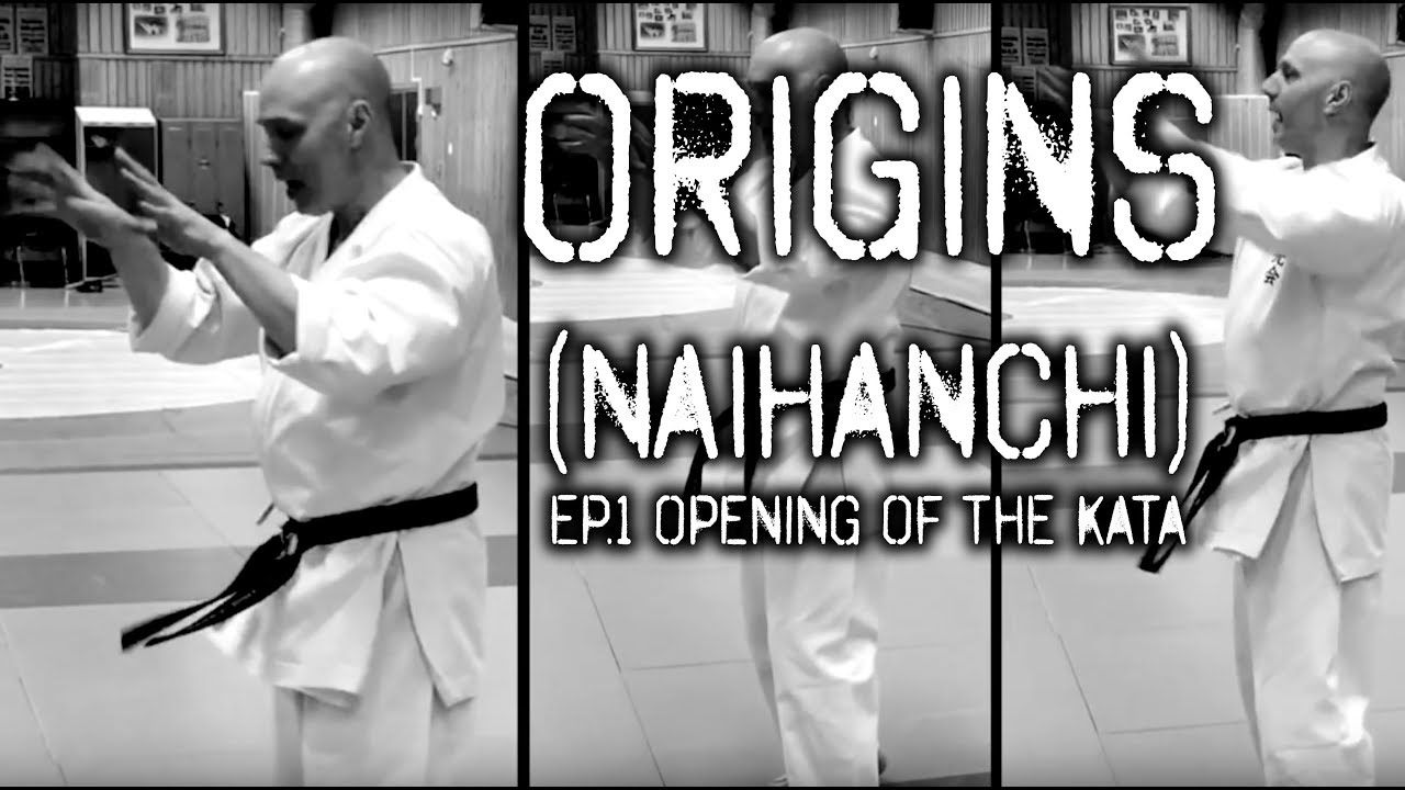 Don Came - Origins seminar ep 1 - Naihanchi/Tekki-Shodan part 1