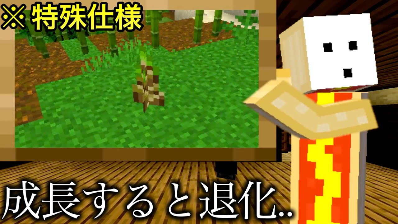 【マイクラ】インベントリに存在しないブロックの謎すぎる仕様をご存知でしょうか..？ 〜察しが良いと気づいてしまう変な要素10選〜　【マインクラフト】【まいくら】【コマンド】【統合版】【雑学】