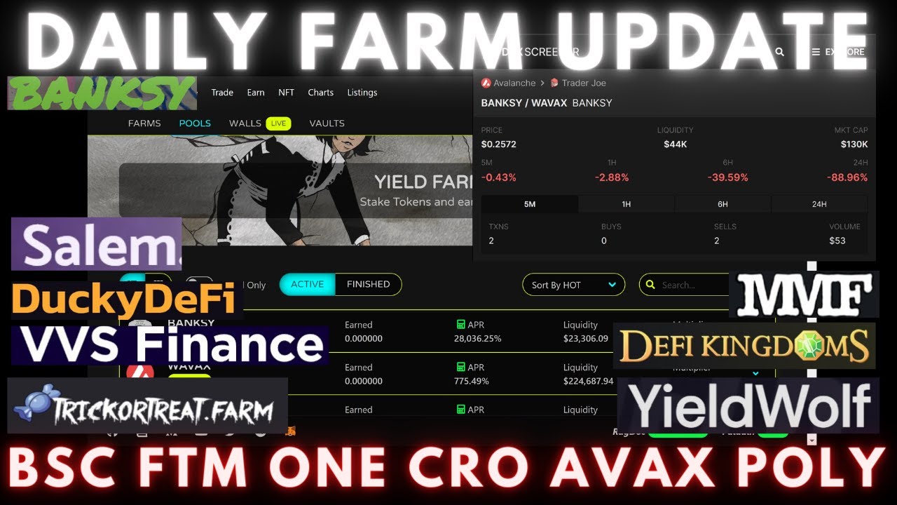 Daily Degen Farm Update | BSC-FTM-ONE-CRO-AVAX-POLY | Quick Recap
