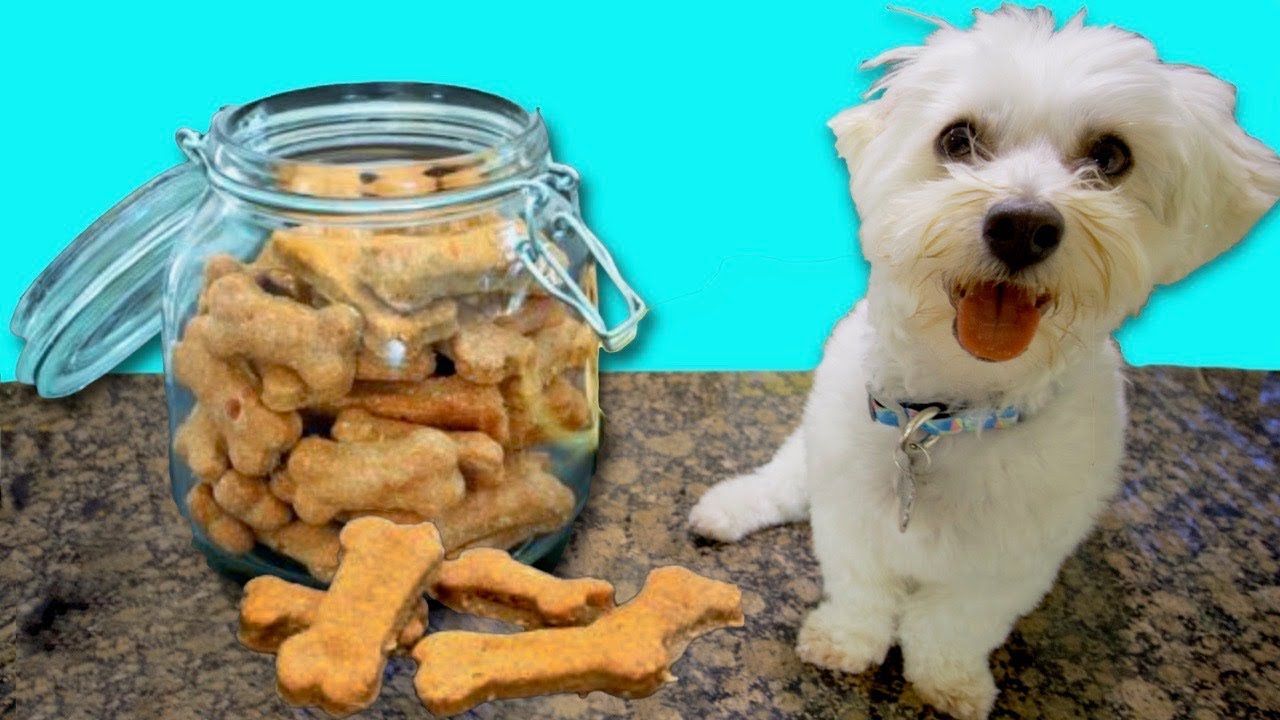 PUPPY BAKES TASTY DOG TREATS!!🍴