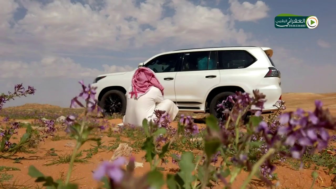 ياسمي صويحبي يوم نادوبه لحظات سعيده في حيات العفراني في ربيع الشمال