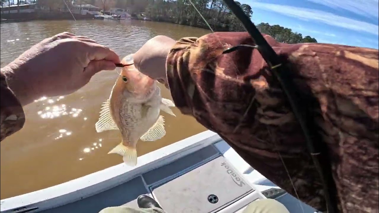 Single Pole Crappie Fishing