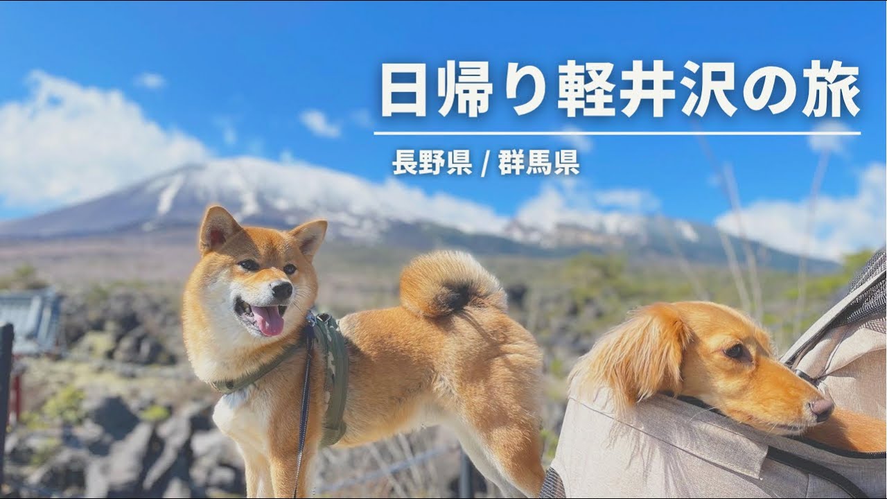 【愛犬とお出かけ】ペットに優しい街、軽井沢へ