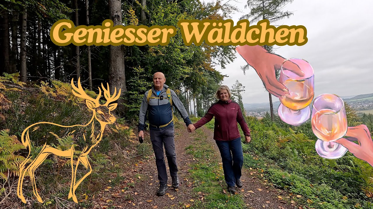 Premiumwanderweg Genießer Wäldchen bei Nunkirchen im Saarland  4K
