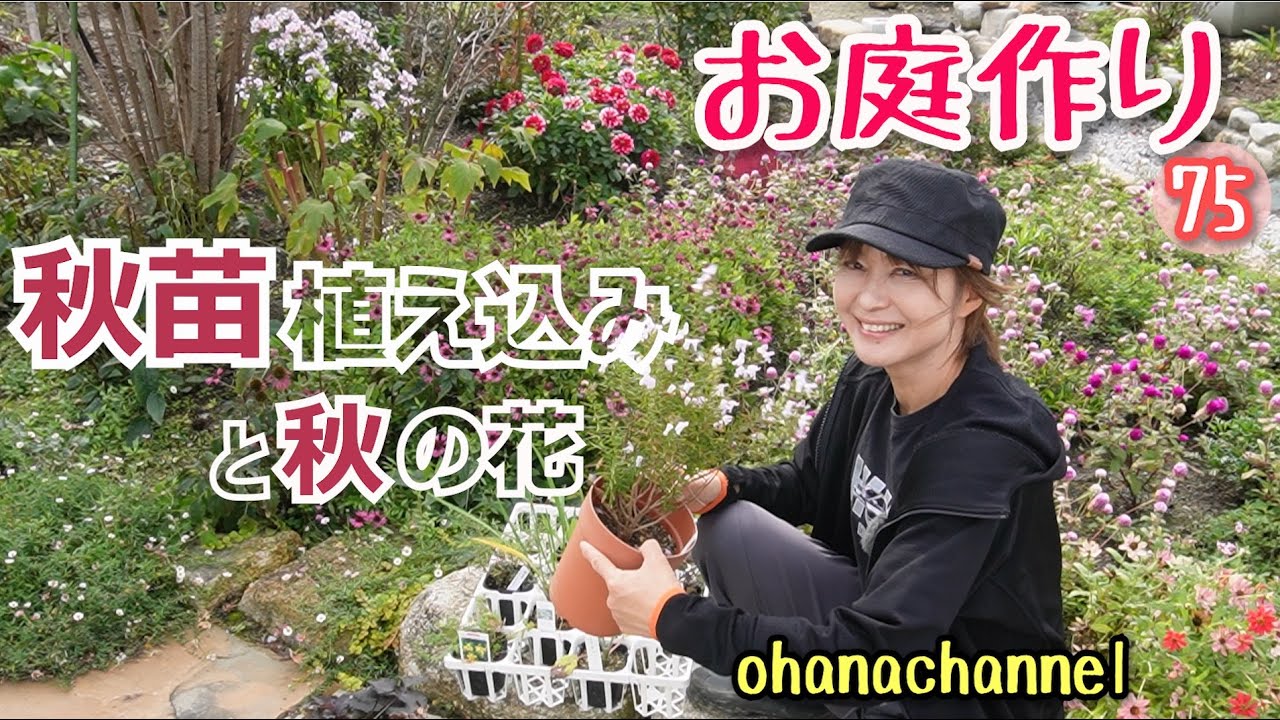 【お庭作り 75】秋の植え込みと秋に咲く多年草、夏を乗り越えて咲く花、葉色が美しい植物、久しぶりのフク怪獣🐶