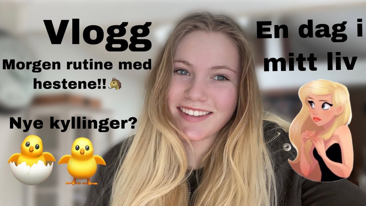 Hverdagsvlogg - Morgen rutine med hestene / Kylling oppdatering