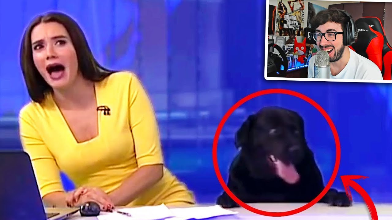 COSAS QUE NO DEBERÍAN PASAR EN TELEVISIÓN 😂