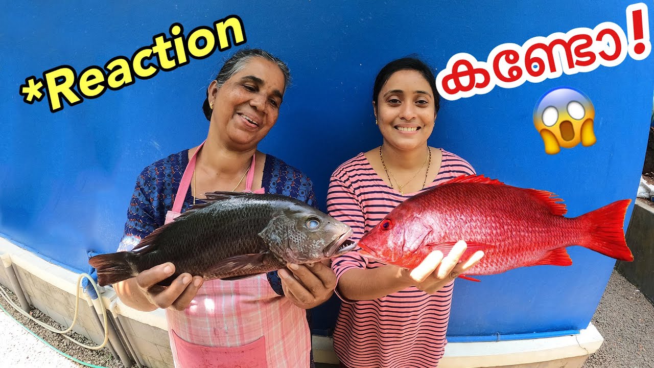 മീനും പിടിച്ചു വീട്ടിൽ ചെന്നപ്പോ!!!! | Backwater Fishing Kerala