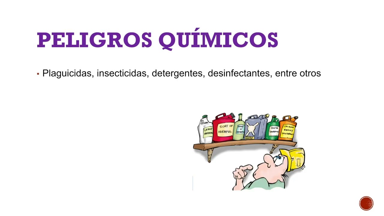 M4 Semana 3: Normas de Inocuidad