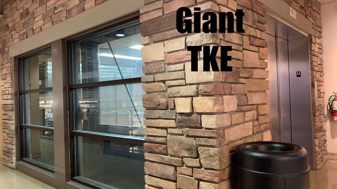 Giant Glass Thyssenkrupp Hydraulic Elevator @ Dierbergs - Des Peres, MO
