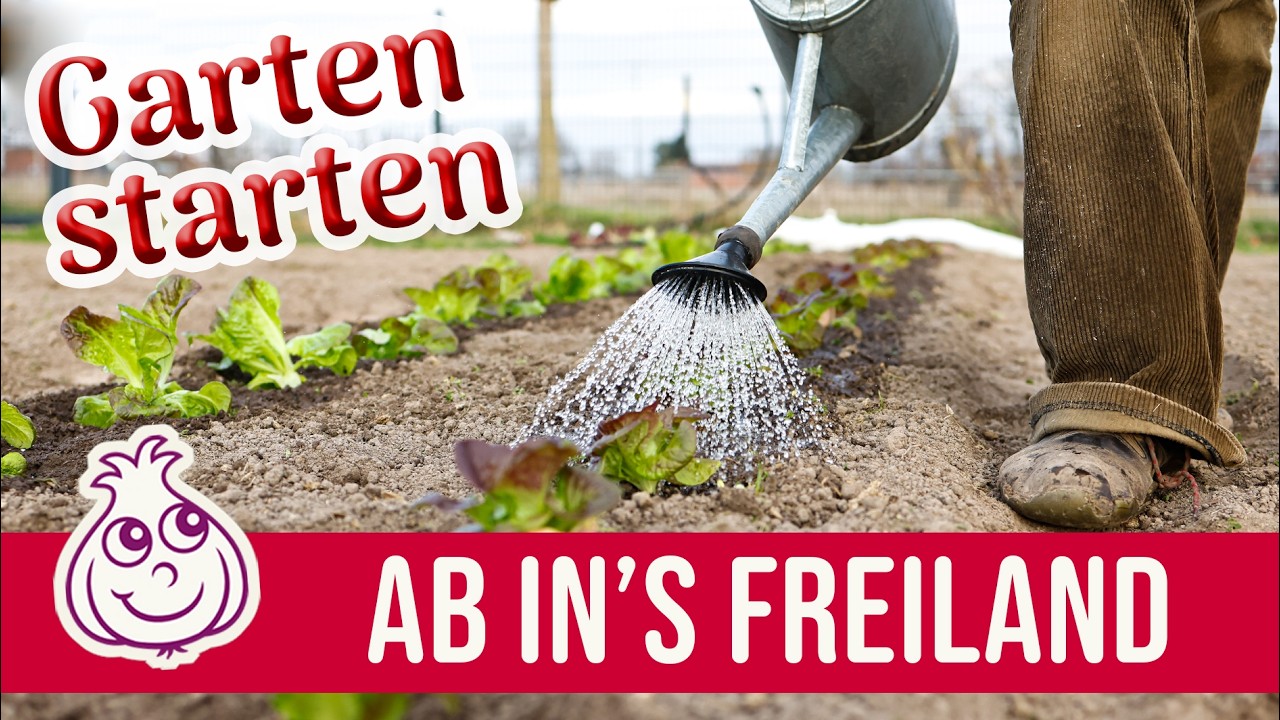 Erste Pflanzung im Freiland im März | KI-frei