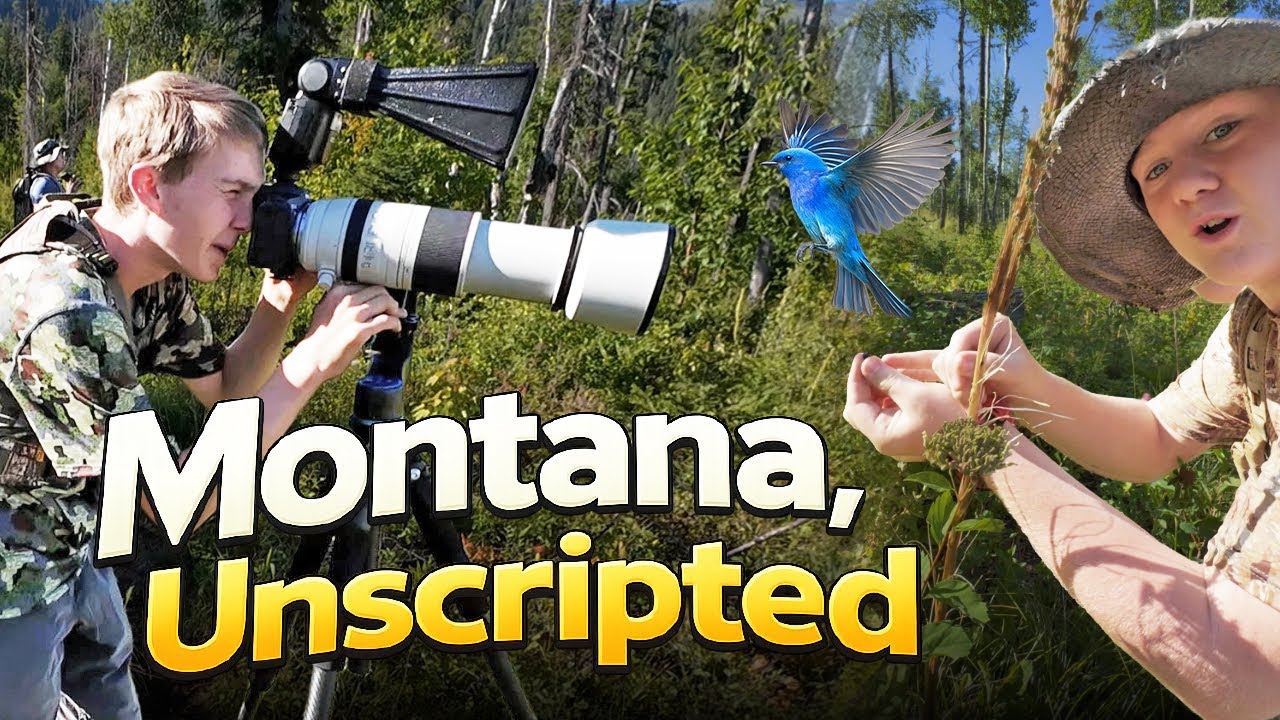 What We Saw on an Unplanned Montana Hike