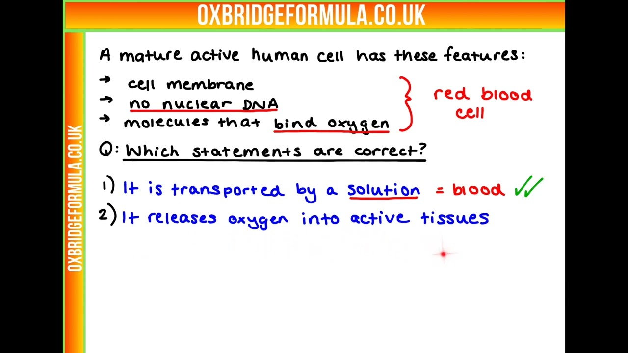 BMAT 2021 Section 2 - Q09 (Bio) - Active Cell Features.mov - Worked Solution