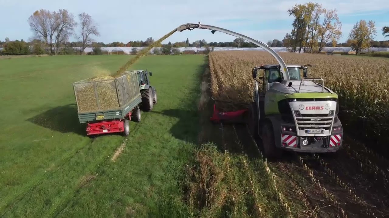 Maishäckseln 24 mit dem Jaguar 950