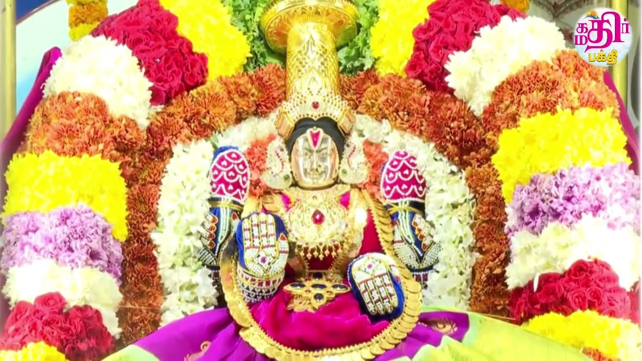 தி.நகர் திருமலை திருப்பதி தேவஸ்தானம் ஸ்ரீ பத்மாவதி தாயார் பிரம்மோற்சவம் ரதோற்சவம்