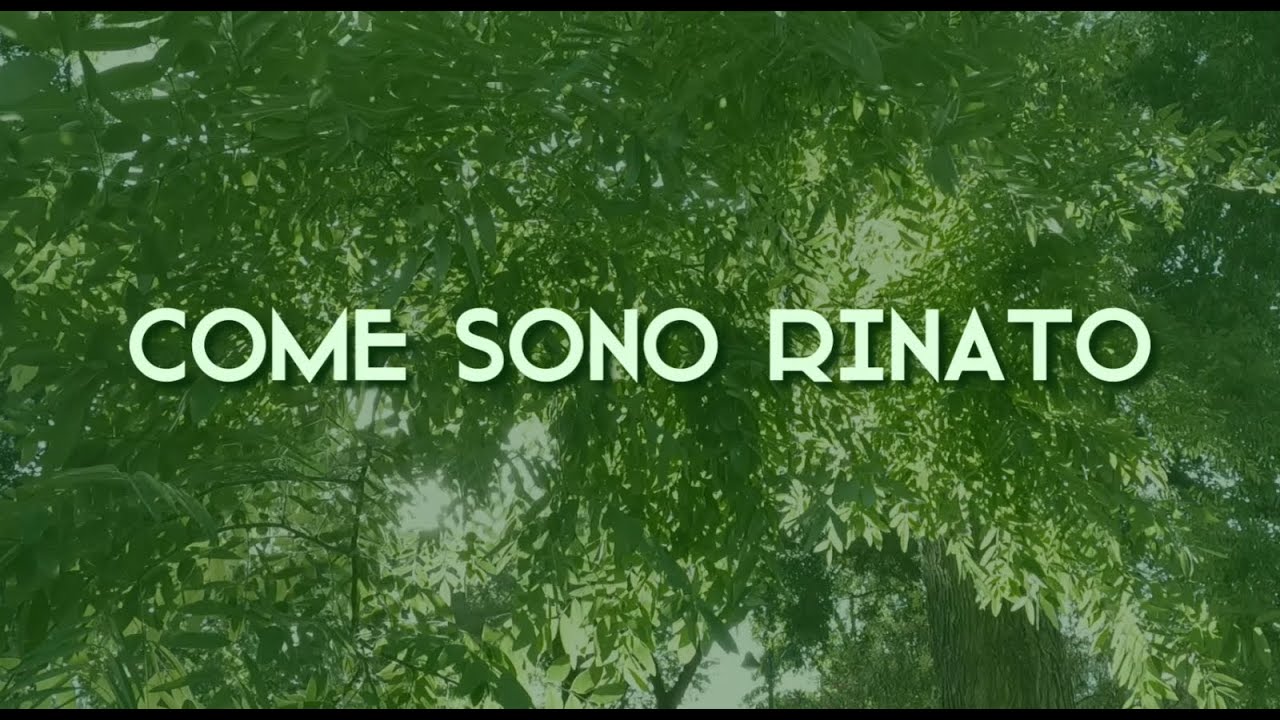 Come Sono Rinato - ritornare in un corpo fisico