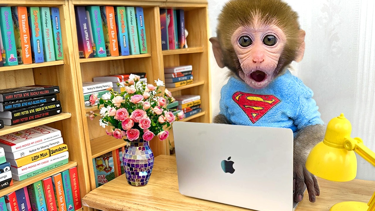 Singe Bon Bon choisit une boisson colorée sur le thème des super-héros pour un défi surprise