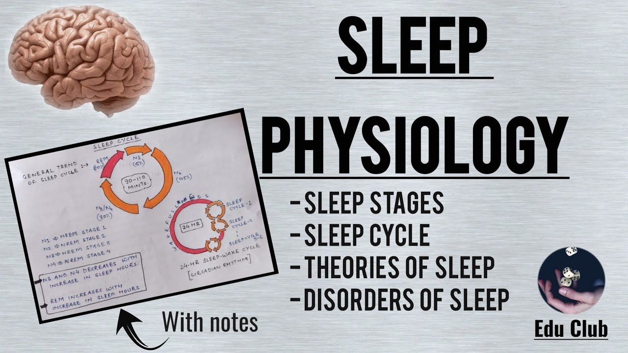 The Sleep Physiology ( With QNA On PG Entrance Exams )